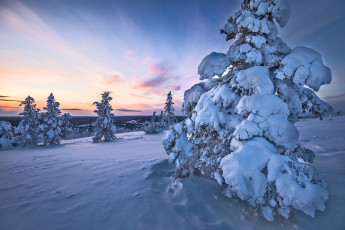 Картинка природа зима finland lapland финляндия лапландия снег деревья