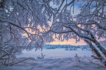Картинка природа зима finland lapland финляндия лапландия снег деревья