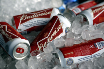 обоя бренды, budweiser, пиво