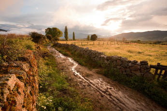 Картинка природа дороги простор