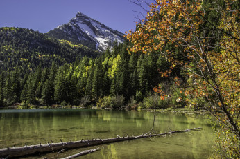 Картинка природа реки озера простор