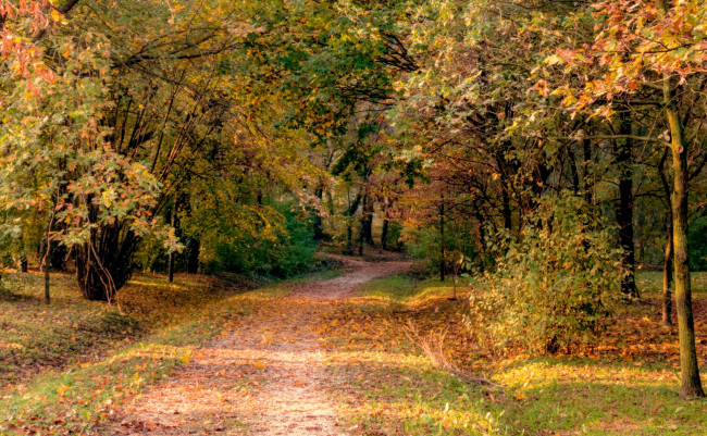 Обои картинки фото природа, дороги, простор