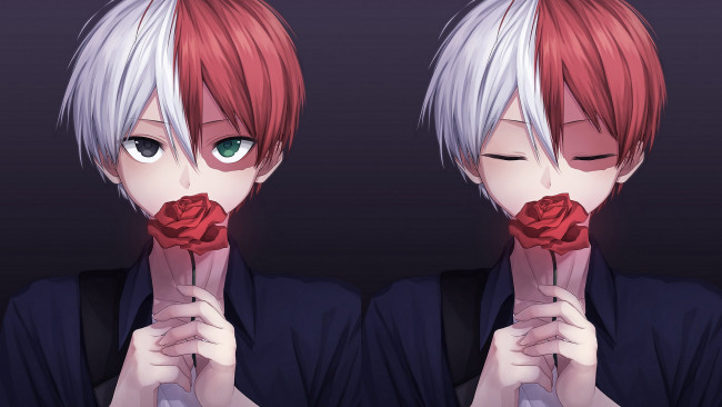 Обои картинки фото аниме, boku no hero academia, моя, геройская, академия