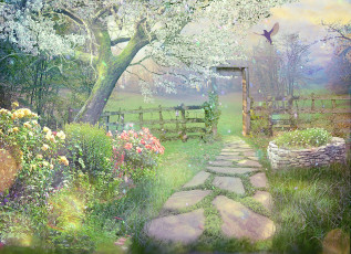 Картинка разное компьютерный+дизайн птица фон природа