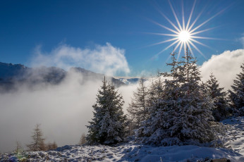 Картинка природа зима снег