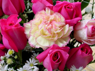 Картинка цветы разные вместе