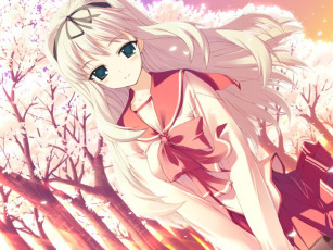 Картинка аниме to heart