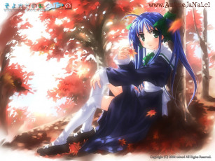 Картинка аниме wind breath of heart