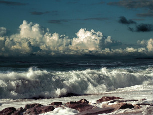 Картинка природа