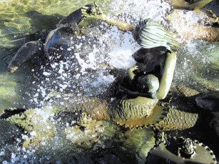 Картинка разное