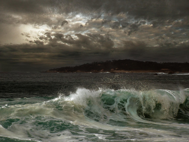 Обои картинки фото природа