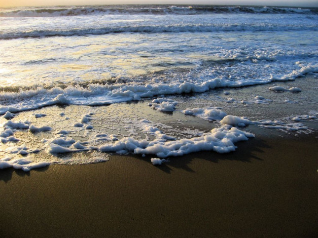 Обои картинки фото 