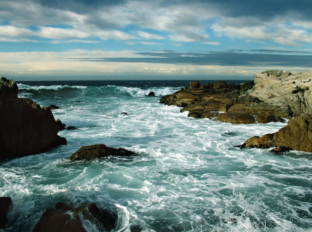 Обои картинки фото природа