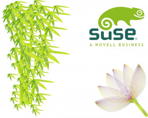 Картинка компьютеры linux