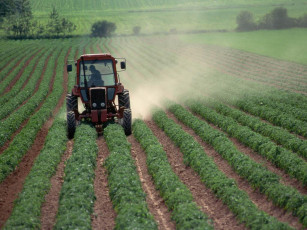 Картинка техника тракторы