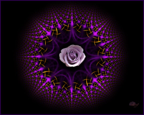 Картинка 3д графика flowers цветы