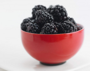 Картинка еда ежевика