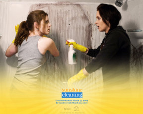 Картинка sunshine cleaning кино фильмы