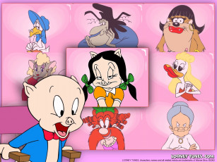Картинка мультфильмы looney tunes