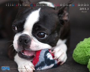 Картинка бренды inaba