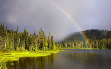 Картинка природа радуга