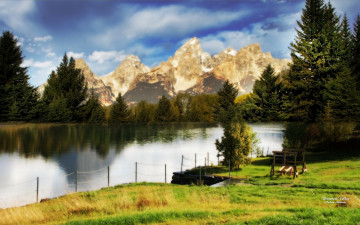 Картинка природа реки озера