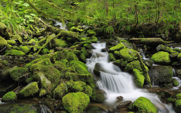 Картинка природа реки озера