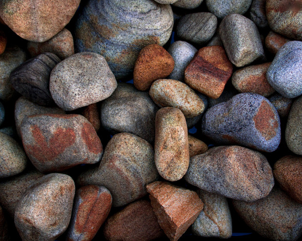 Обои картинки фото 