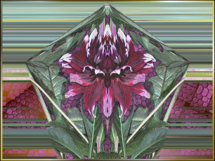 Картинка 3д графика flowers цветы фон цвета