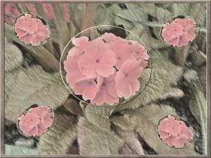 Картинка 3д графика flowers цветы лепестки