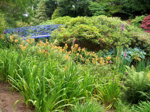 Картинка природа парк мостик кусты