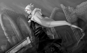 Картинка аниме gray man allen walker