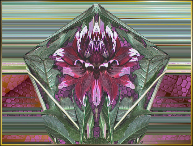 Обои картинки фото 3д, графика, flowers, цветы, фон, цвета