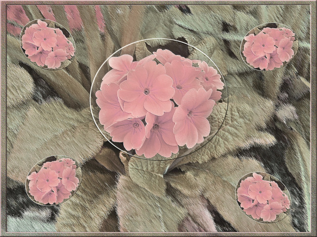 Обои картинки фото 3д, графика, flowers, цветы, лепестки