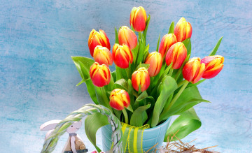 Картинка цветы тюльпаны капли бутоны