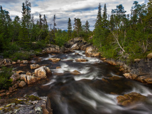 Картинка природа реки озера река лес