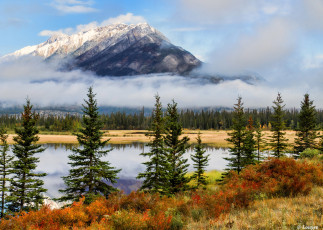 Картинка природа реки озера река лес