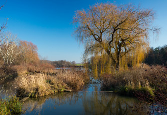 Картинка природа реки озера река лес