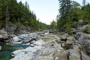 Картинка природа реки озера река лес