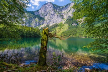 Картинка природа реки озера река лес