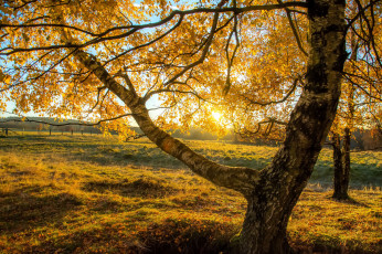 Картинка природа восходы закаты рассвет