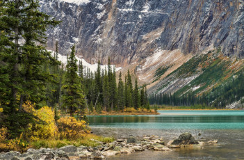 Картинка природа реки озера река лес