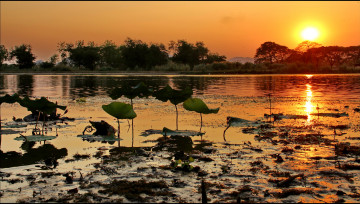 Картинка природа восходы закаты рассвет