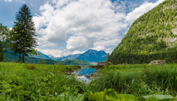 Картинка природа реки озера река лес