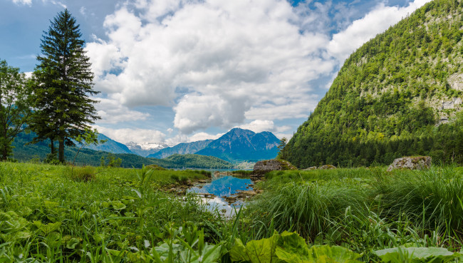 Обои картинки фото природа, реки, озера, река, лес