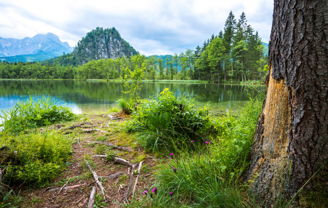 Обои картинки фото природа, реки, озера, река, лес