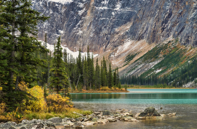 Обои картинки фото природа, реки, озера, река, лес