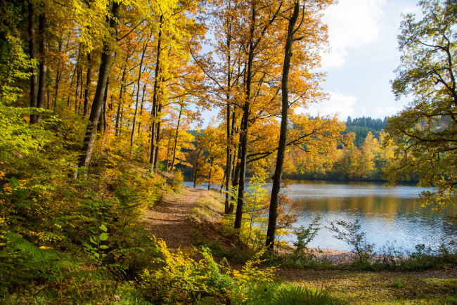 Обои картинки фото природа, реки, озера, река, лес