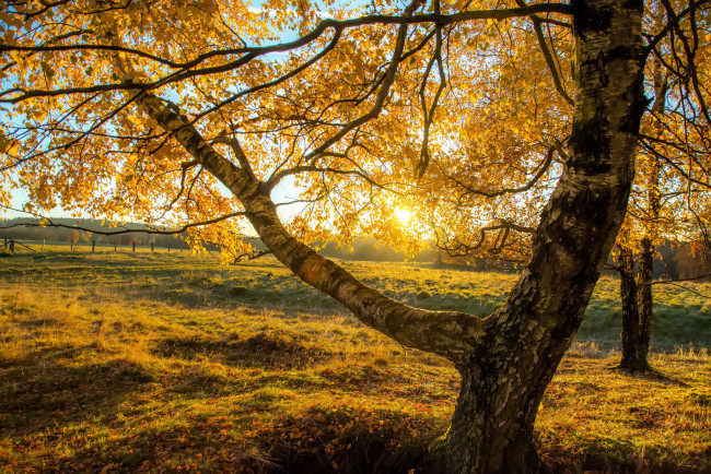 Обои картинки фото природа, восходы, закаты, рассвет