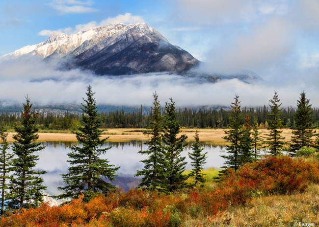 Обои картинки фото природа, реки, озера, река, лес